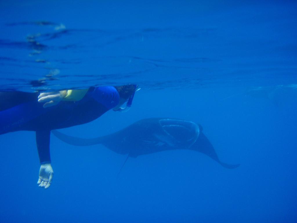 Mai Dive' Astrolabe Reef Resort Naqara Zewnętrze zdjęcie