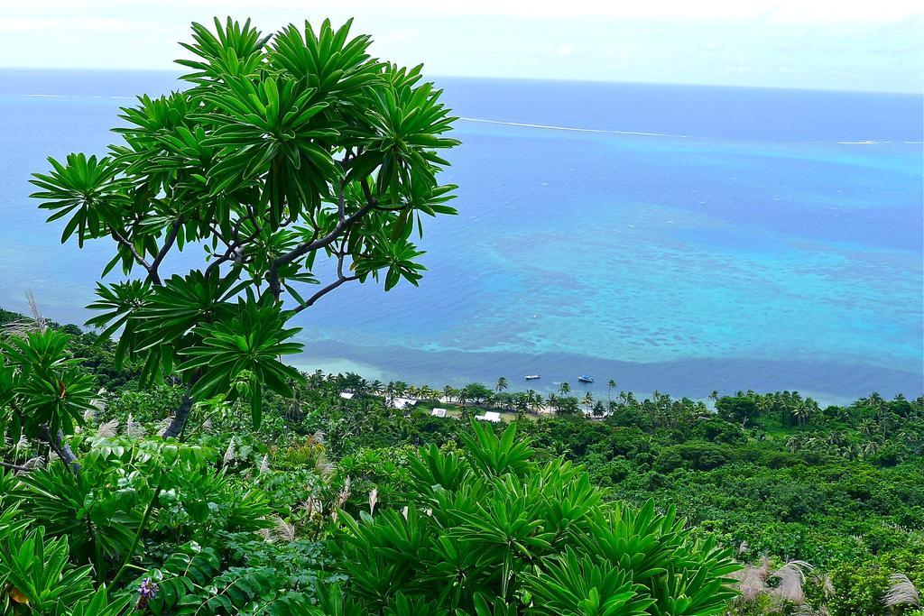 Mai Dive' Astrolabe Reef Resort Naqara Pokój zdjęcie