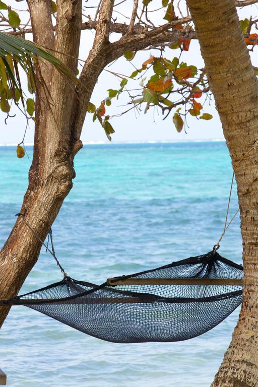 Mai Dive' Astrolabe Reef Resort Naqara Pokój zdjęcie