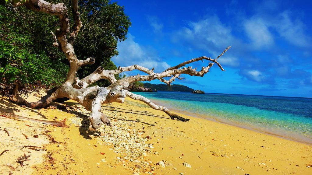 Mai Dive' Astrolabe Reef Resort Naqara Zewnętrze zdjęcie