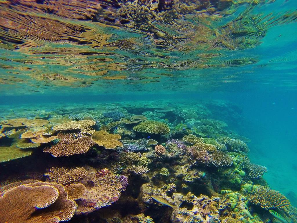 Mai Dive' Astrolabe Reef Resort Naqara Zewnętrze zdjęcie
